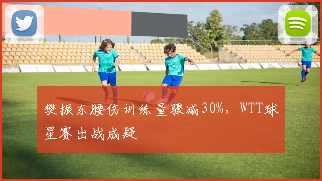 樊振东腰伤训练量骤减30%，WTT球星赛出战成疑